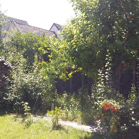 Lägenhet Ferienwohnung Maria