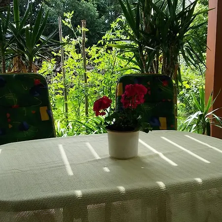 Ferienwohnung Maria Niederkirchen bei Deidesheim